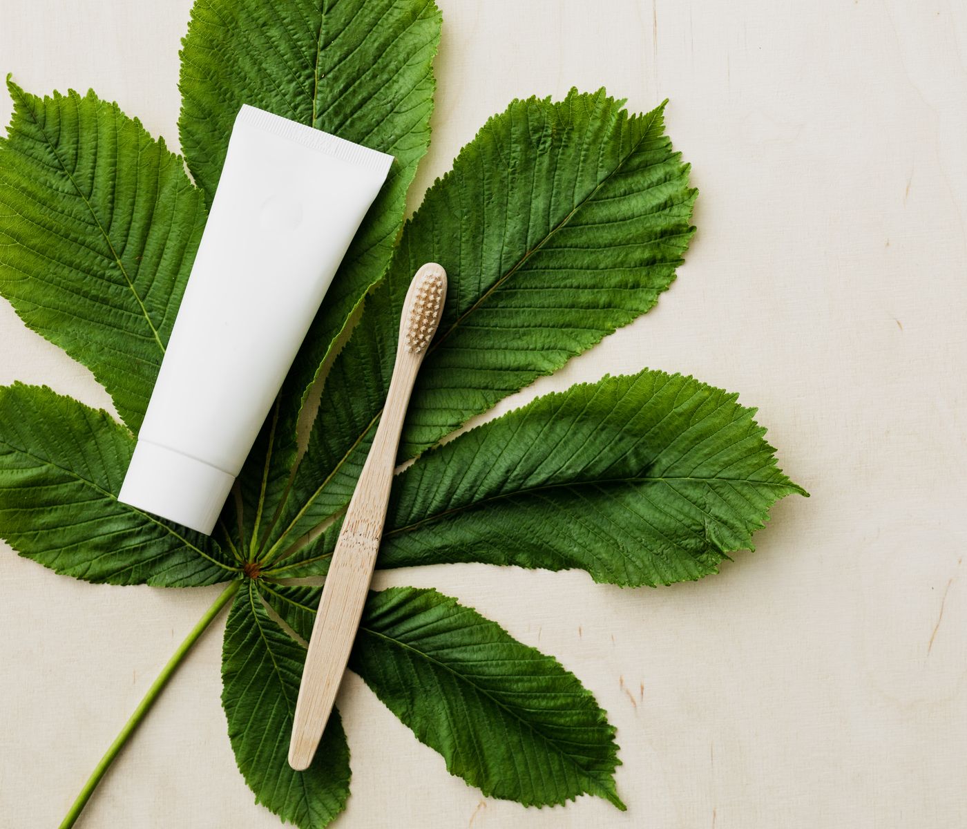Toothbrush and toothpaste for daily oral hygiene
